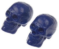 2 Blue Skull Shaker Percussion Bag Stress Relief Music Maraca Instrument Gift