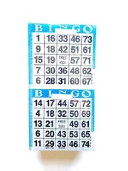 2 on 10 up Bingo Paper Game Cards- 50 Books- Color Collated