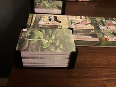 Forest Shuffle Board Game Insert Compatible with All Expansions