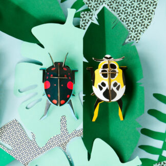 Scarabée Lady x2