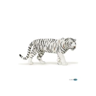 Tigre blanc