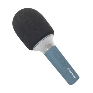 Micro karaoke bleu