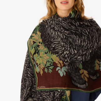 image de l'ETOLE Walter KAKI de chez Inoui editions