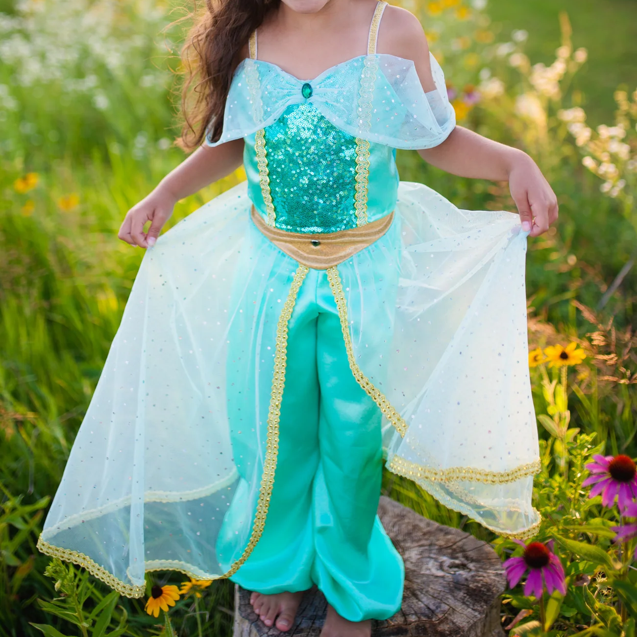 Robe jasmine (aladdin)_ Great Pretenders