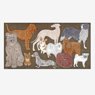 Photo du produit Etole TOUTOU couleur Gris de chez Inouï Editions